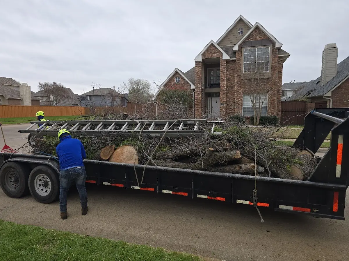 Expert Tree Fertilization with proper safety equipment in Mexican Springs